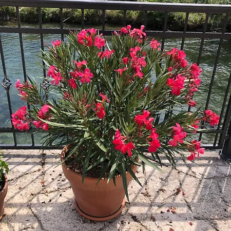 アパート Sokograd Royal Šipovo