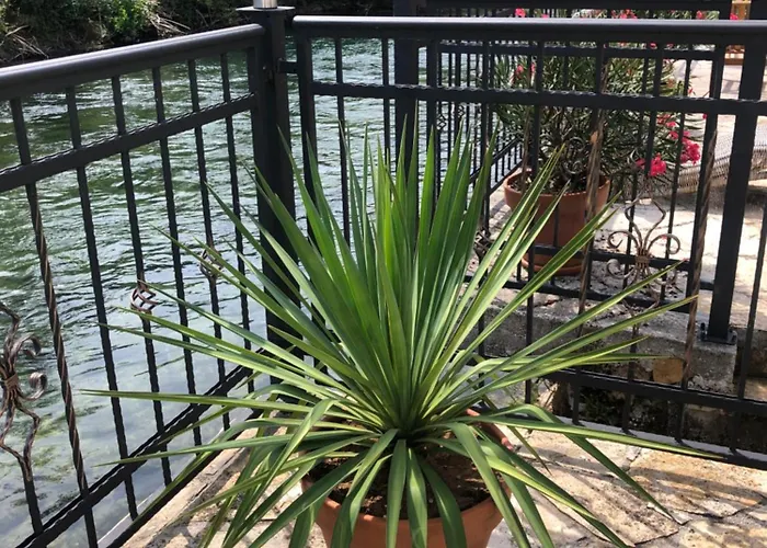 Apartament Sokograd Royal *