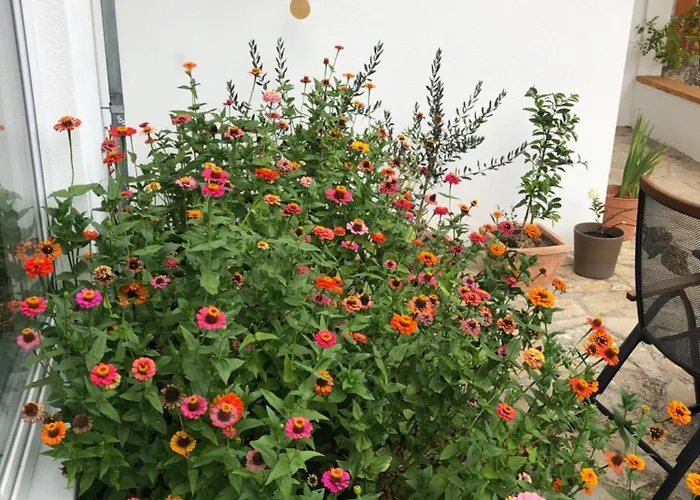 Sokograd Royal Apartament